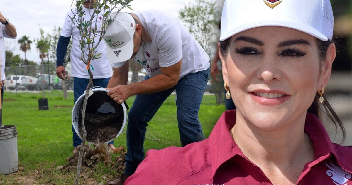 Carmen Lilia Canturosas fortalece áreas verdes con 1,600 árboles